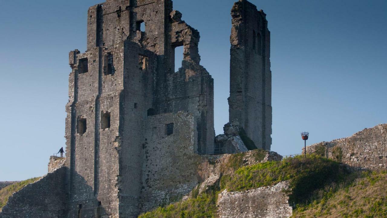 Ammonite Bed & Breakfast Corfe Castle Exteriér fotografie