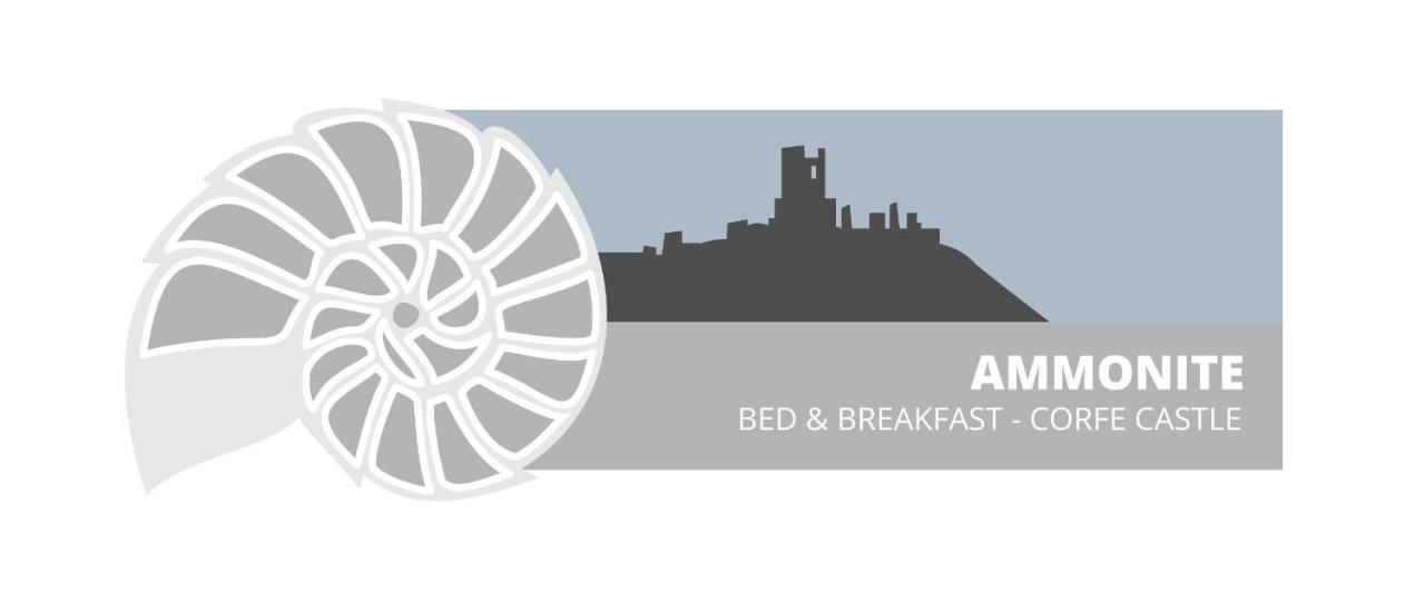 Ammonite Bed & Breakfast Corfe Castle Exteriér fotografie