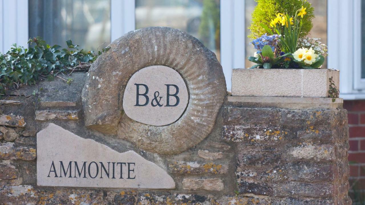 Ammonite Bed & Breakfast Corfe Castle Exteriér fotografie