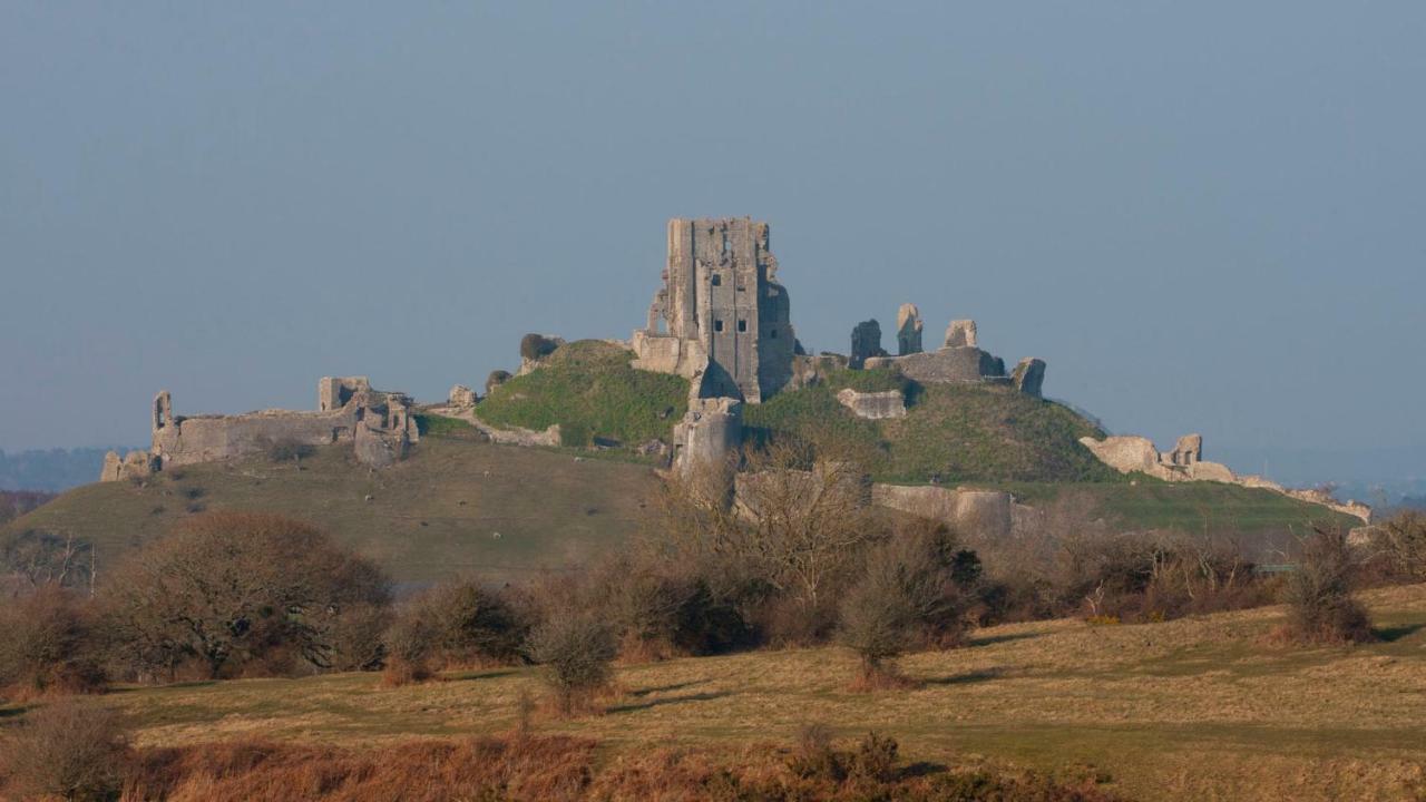 Ammonite Bed & Breakfast Corfe Castle Exteriér fotografie